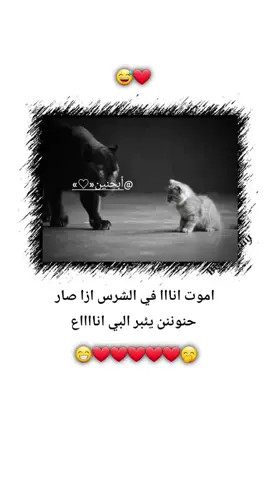 #الشعب_الصيني_ماله_حل😂😂 #الشعب_الصيني_ماله_حل😂😂 #مالي_خلق_احط_هاشتاقات🦦 #متابعه_ولايك_واكسبلور_فضلا_ليس_امر #مالي_خلق_احط_هاشتاقات #حزن_غياب_وجع_فراق_دموع_خذلان_صدمة #مجرد________ذووووووق🎶🎵💞 #💔💔💔💔💔💔😭😭😭😭 #تصميم_فيديوهات🎶🎤🎬 #حزن_غياب_وجع_فراق_دموع_خذلان_صدم #لايك__explore___ #اكسبلورexplore #mstar #tiktok #عمري♥️🔐 