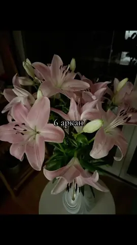 #6аркан #6арканматрицасудьбы #влюбленные #да 