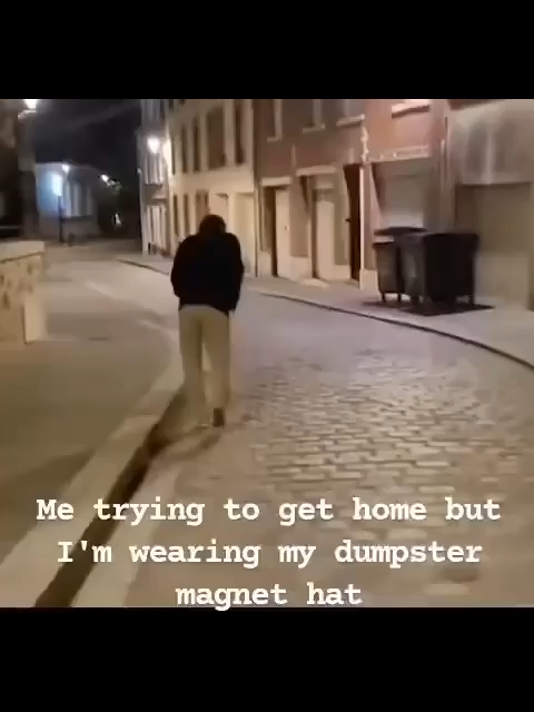dimpster #fyp #forupage #meme #memetiktok