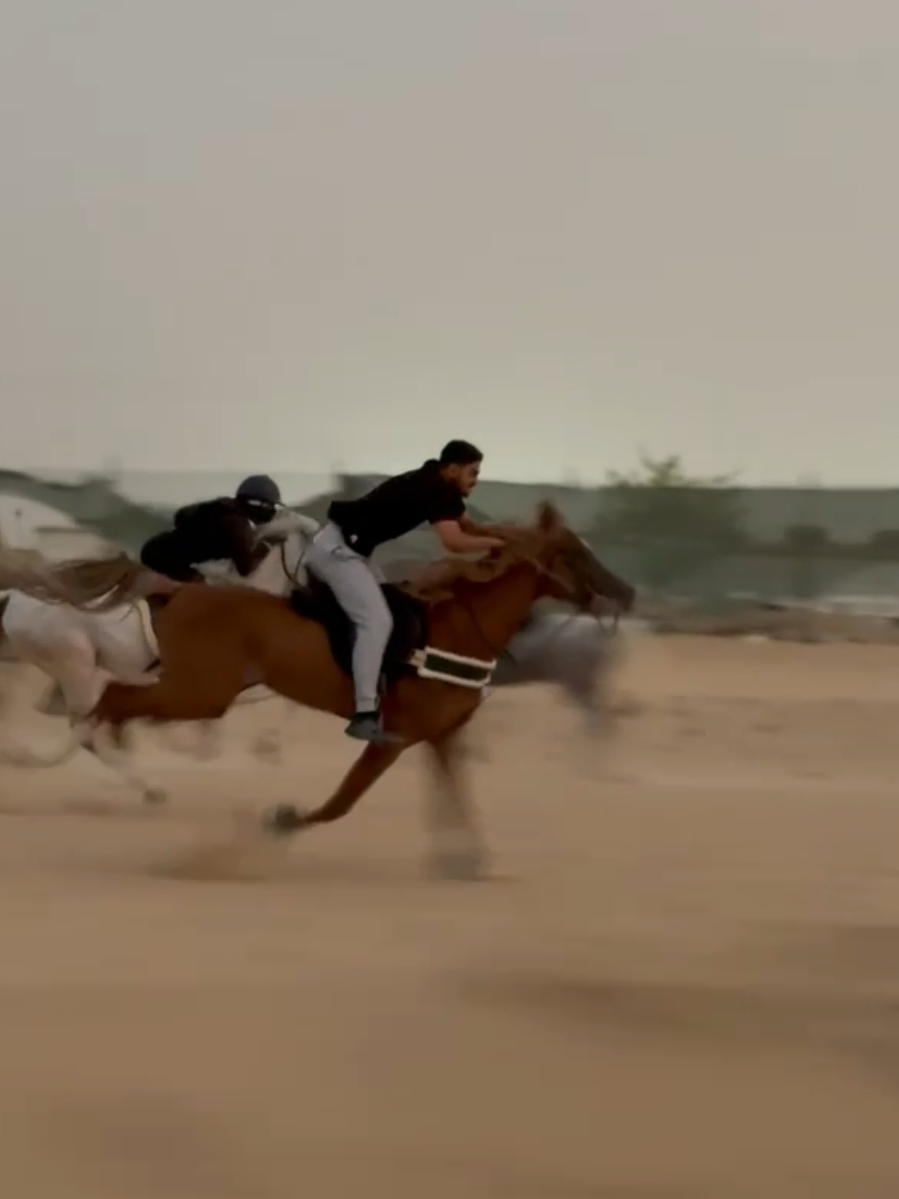 نجم🤎 كتكوت🤍@HORSE RIDING KINGDOM 🇰🇼 @Coachrizg #خيل_وخياله🐎 #اغوي_كويتيين #ماشاءالله_تبارك_الله_اذكروا_الله #4u #اكسبلور #foryou 