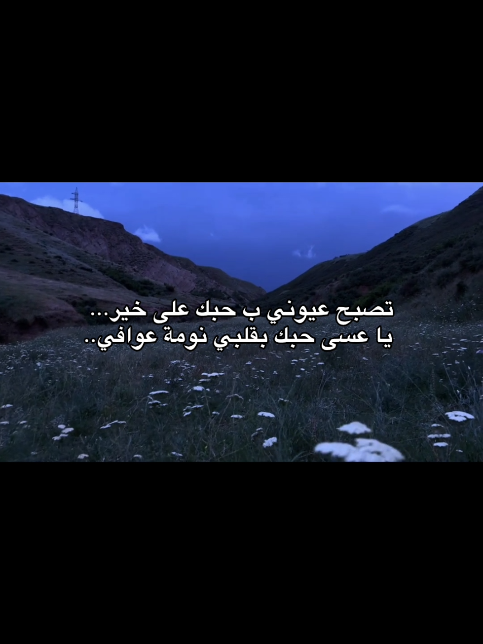 #اقتباسات #عبارات #lovequotes #sadquotes #foryoupage #Spidey #كلمات 
