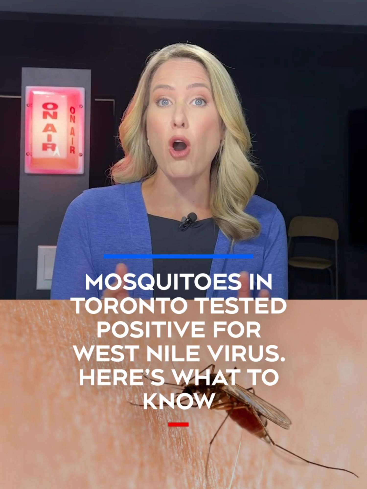 West Nile is back in the headlines, with mosquitoes testing positive for the virus in Toronto, Niagara Region and York Region in the last week.   While there haven’t been any confirmed cases in humans in Ontario so far this year, there are a few crucial things to know about the virus and how to protect yourself from it.  West Nile is a mosquito-borne virus that has the potential to cause fatal neurological disease.  It is transmitted to humans through mosquitoes.  Mosquitoes initially catch West Nile by feeding on perching birds, like robins, that habour the virus, creating a cycle, explained Dr. Robyn Klein, a professor at Schulich Medicine & Dentistry whose focus is on neurovirology and neuroimmunology.   “They are passing the virus between mosquitoes and birds and that’s how it’s maintained in nature,” she said.  Some birds, like crows, are more susceptible to West Nile and can be killed by the virus. If there are several dead crows in an area, it`s often a sign that the virus is nearby. #ctvnews #news #westnile
