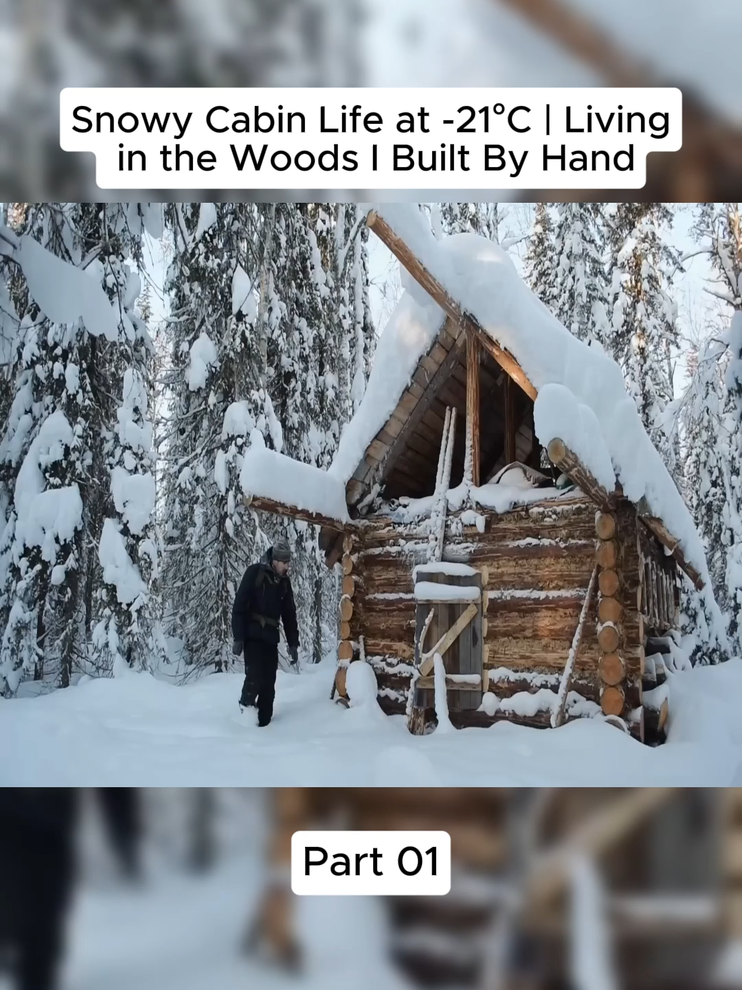 #camping #bushcraft #suvival #cabin #everyone #cabin #fyp
