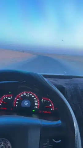 #تل_ابيض 