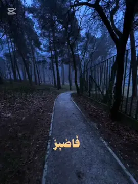 #القران_الكريم_راحه_نفسية #ياعلي_مولا_عَلَيہِ_السّلام #ياعلي 