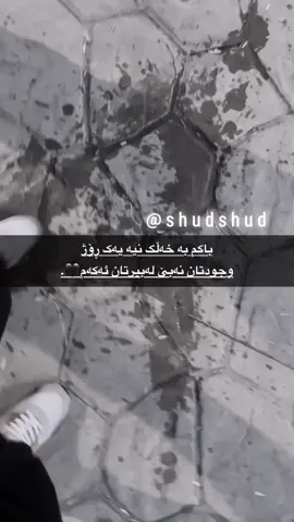 A🤣🤣!#gozakan #malkani #fyp #slemani #foryou 