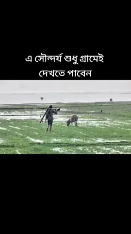 এ সৌন্দর্য শুধু গ্রামেই দেখতে পাবেন