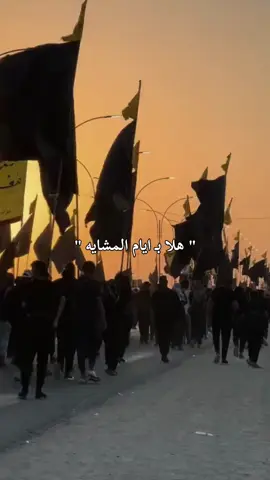 هلا ب ايام المشايه #زيارة_الأربعين #يوم_الاربعين_الحسين #ياحسين 