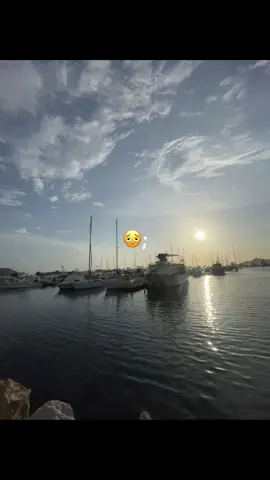 #flypシ 