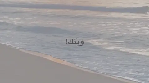 ويَنك،! | محضورة علقو انكليزي واعادة نشر 🌷.  #باسم_الكربلائي_رادود_ما_له_مثيل #وينك #موت #هاشتاقات_تيك_توك_العرب #foryoupage 