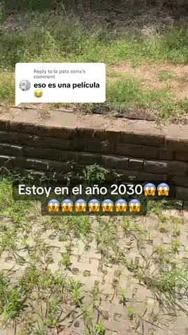 Replying to @la pata zorra 