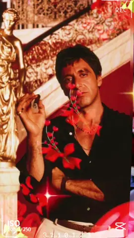 #alpacino 