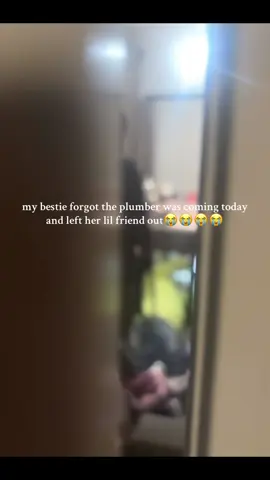 LOLLLLLL 