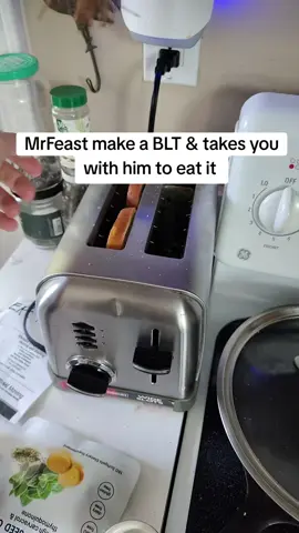 MAKE A BLT EAT A BLT WITH MRFEAST‼️🤌🎈 #blt #asmr #fypage  #mrfeast #DIY