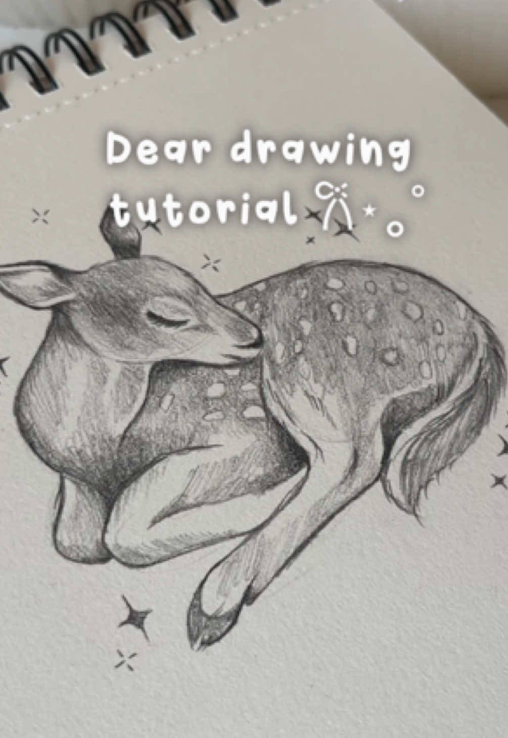 Deer drawing tutorial #deer #drawing #tutorial #facedrawingtutorial #arttutorial #draw #art #drawing #tutorialdrawing 
