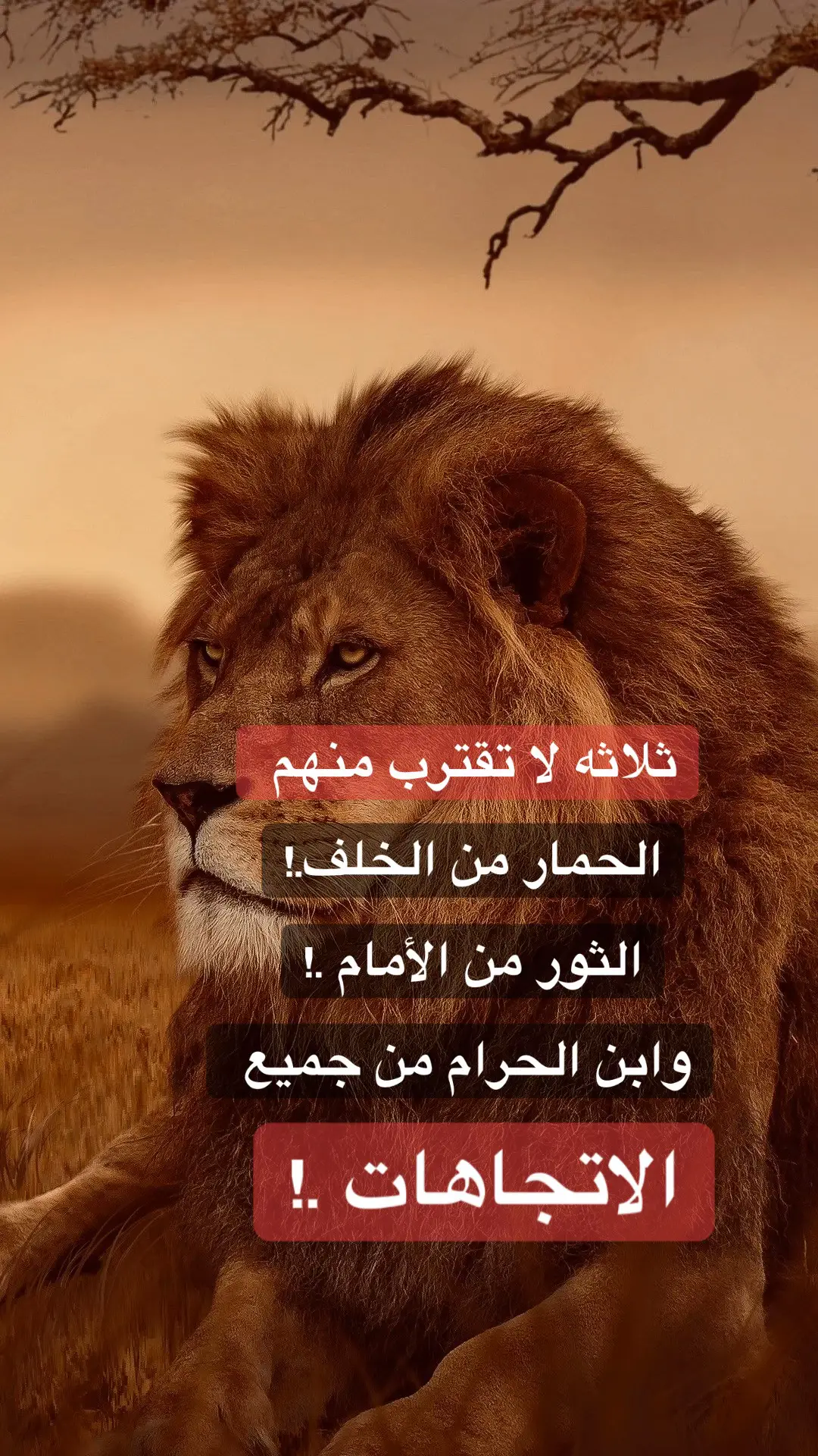 #آلزعےـيےـمےـ 
