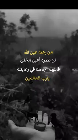 من رعته عين الله لن تضره أعين الخلق فاللهم اجعلنا في رعايتك #امين_يارب🤲🏻🥀🕊️ #دعاء♡الخير #اكسبلور #متابعة #نشر 