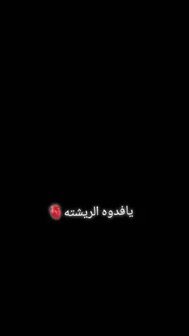 #تصميم_فيديوهات🎶🎤🎬 #كاب_كات #explore #الشعب_الصيني_ماله_حل😂😂 #foryou #fyp 