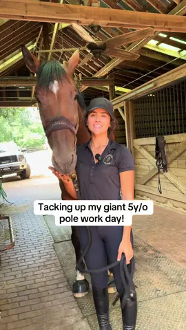 this is the pole work we did!  - trot poles  - 4 poles 4 strides apart in a square, ride in 4 and 5 strides  - forward 3 stride line of poles  - 3 bounce poles - catching the poles as singles from different tracks  repeat both directions #horse #equestrian #foryoupage #horsegirl #viralvideosofficial #horselife #horses #fyppppppppppppppppppppppp #giant4yearold #equestrianlife #horseshow #horsesontiktok #horsetok #viral #fypシ #fypdongggggggg 