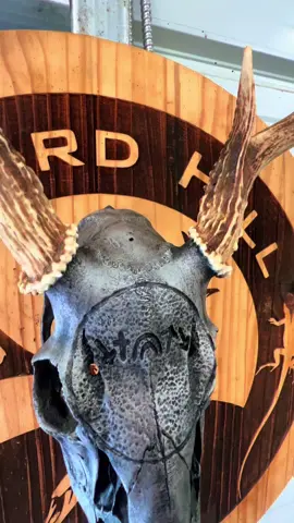 He came, He died, He rose, He ascended, and He’s coming back! Are you ready? #lizardhillbones #wompustour #jesusisking #europeanskullmount #skullmount #deerskullnecklace 