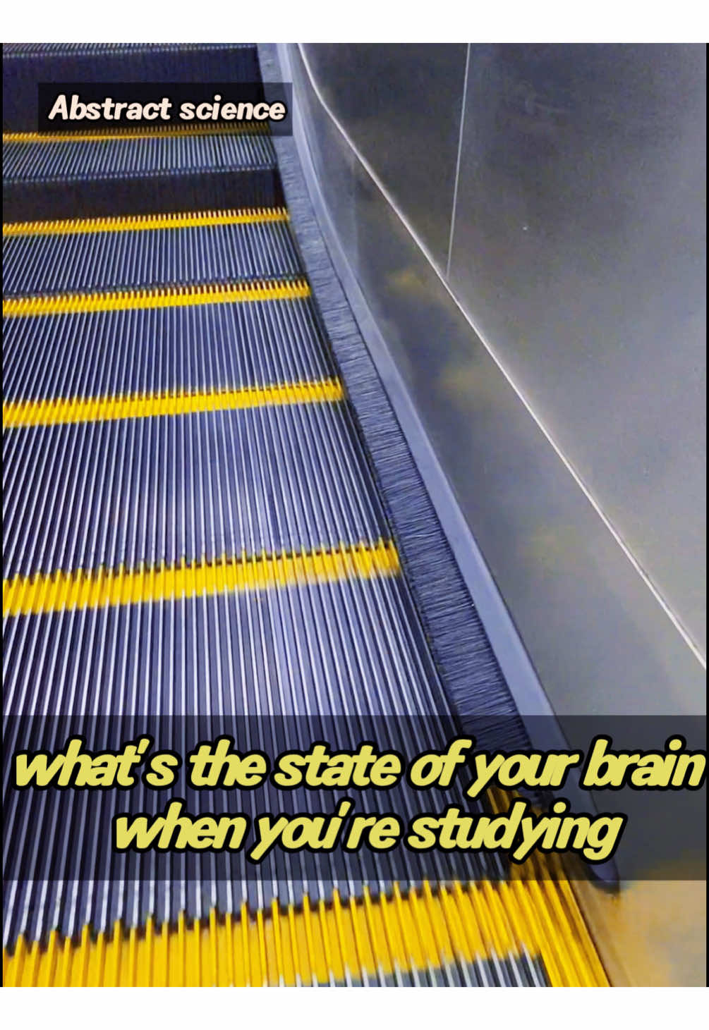 what are the functions of the brushes on the escalator #science #usa🇺🇸 #usa_tiktok 