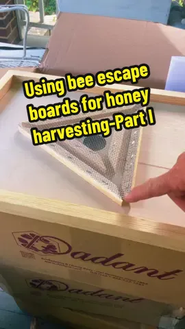 Using bee escape boards for honey harvest Part 1 #thebeelady #honeyharvest #escapeboard #beekeepingeducation #beekeeping @Tex Nichols @dadantandsons 