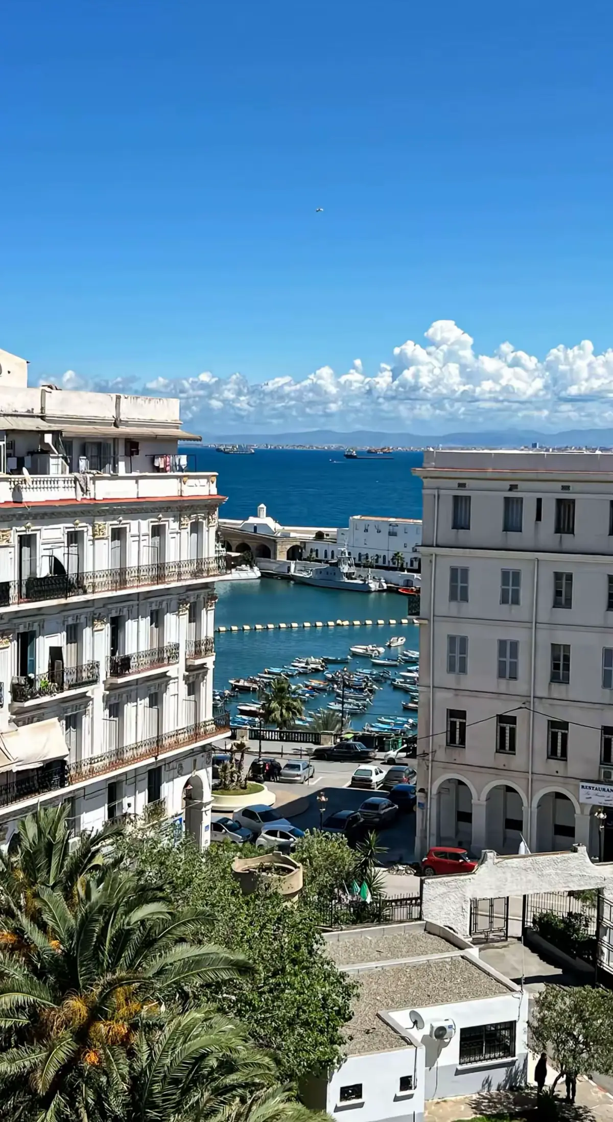 #algerial #alger #algiers_by_night # الجزائر #fyp #pyyyYyYyyyyvy #iamjustgir&^ #feminineenergy #femme #algerie* #algerport #babdziracoffee #algercentre #portdalger #classygirl #algerienne 