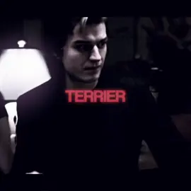 #EDDIEMUNSON & #STEVEHARRINGTON pitbull terrier 🤫 #steddie #eddie #steve #josephquinn #joekeery #st #strangerthings #netflix #on #fyp #viral #recommendations 