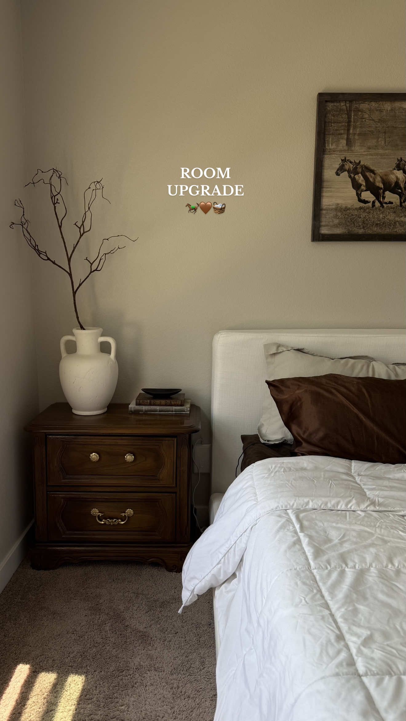 the upgrade the bedroom desperately needed🤩!! #bedroom #bedroomdecor #bedroomdesign #decor #organicmodern #homedecor #fyp #foryou #relatable #facebookmarketplace #thrifting #hobbylobby #target #homegoods #newhome #pinterest #pinterestaesthetic #pinterestinspo #roominspo #bedroominspo #homestyle 