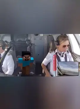 Steve #Minecraft #minecraftmemes #fyp 
