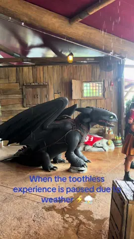 @Universal Orlando Resort @Universal Epic Universe #epicuniverseorlando #howtotrainyourdragon #toothless #hiccup #vikings #universal 
