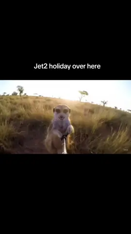 😂😂 nothing beats a Jet2 holiday with this Mr.