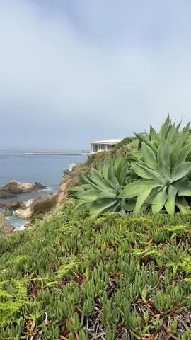 #corona #del #mar #coronadelmar #orangecounty 