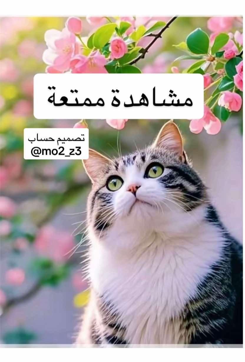 #تصميم_حساب #mo2_z3 