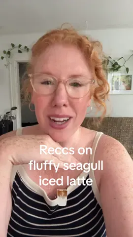 fluffy seagull iced latte - never thought I’d be asking the internet for a cold bev based on an annoying beach bird but here we are 🐦☕️ Share your recommendations on where to find this iced latte in and around 📍Boston/Somerville/Cambridge - we all must indulge before summer’s end #icedcoffee #espresso #boston  #coffee 