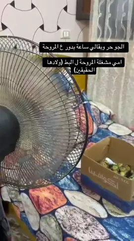 #اللهم_صلي_على_نبينا_محمد #الشعب_الصيني_ماله_حل😂😂 #يارب #الحمد #امي 😂😂😂😂🐣🐣🐣🐥🐥🐥