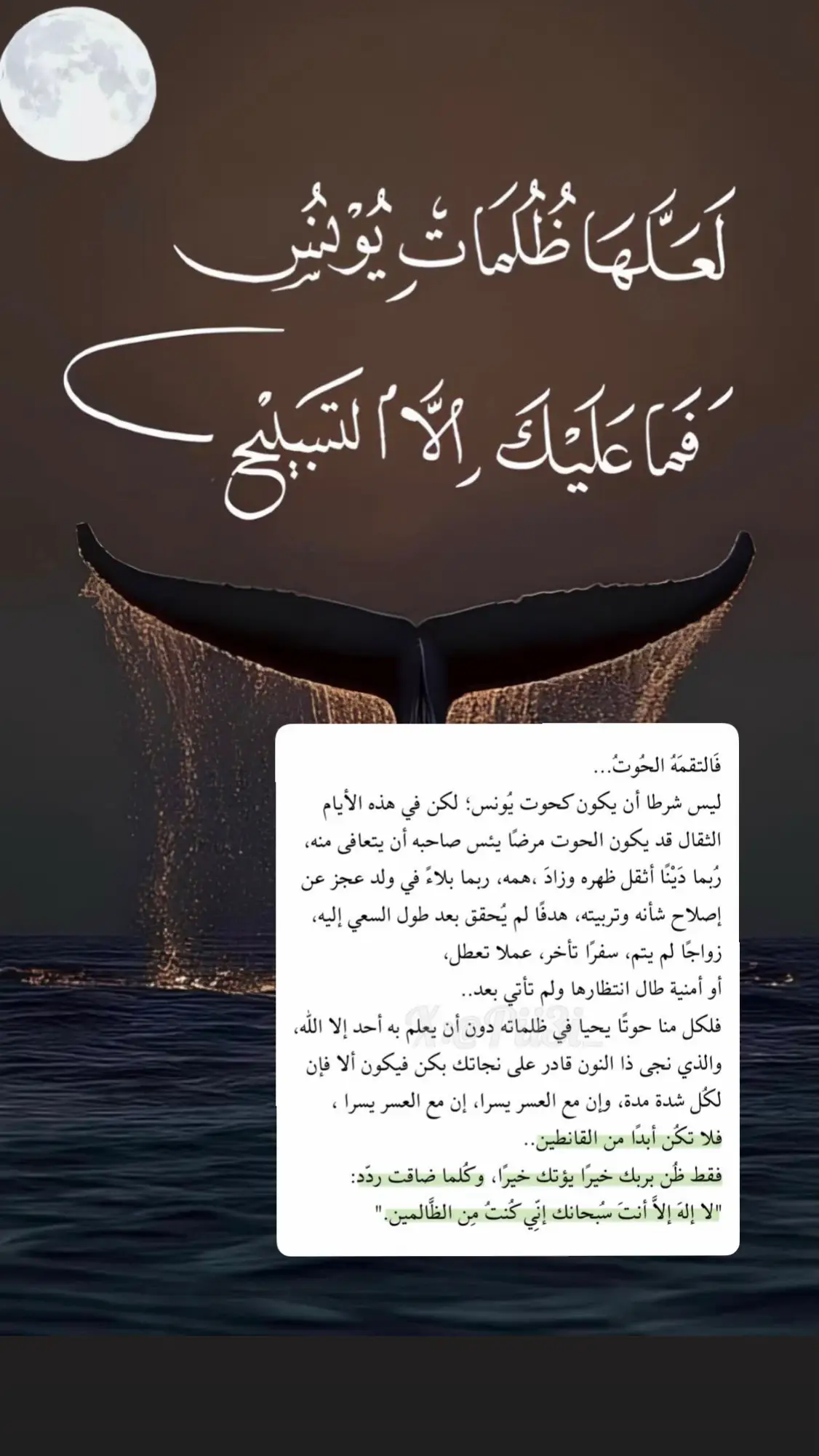 #ذا_النون #ذا_النون_عليه_السلام #سورة_يونس #القران #القرآن_الكريم #رحمة_الله #explore #اكسبلورexplore #fyp #اكسبلور #ti̇ktok 