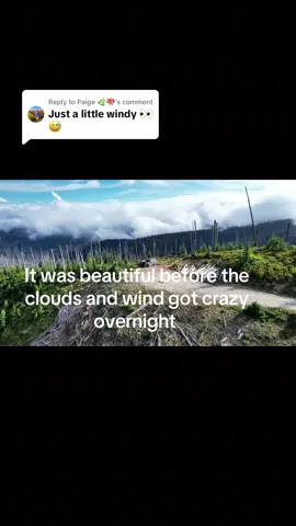 Replying to @Paige 🌿🍄  it was pretty windy, a little wet. One tent torn, we were a little wet but safe and now I get to buy new gear 😂 #pnwphotographer #getoutside #djidrone 