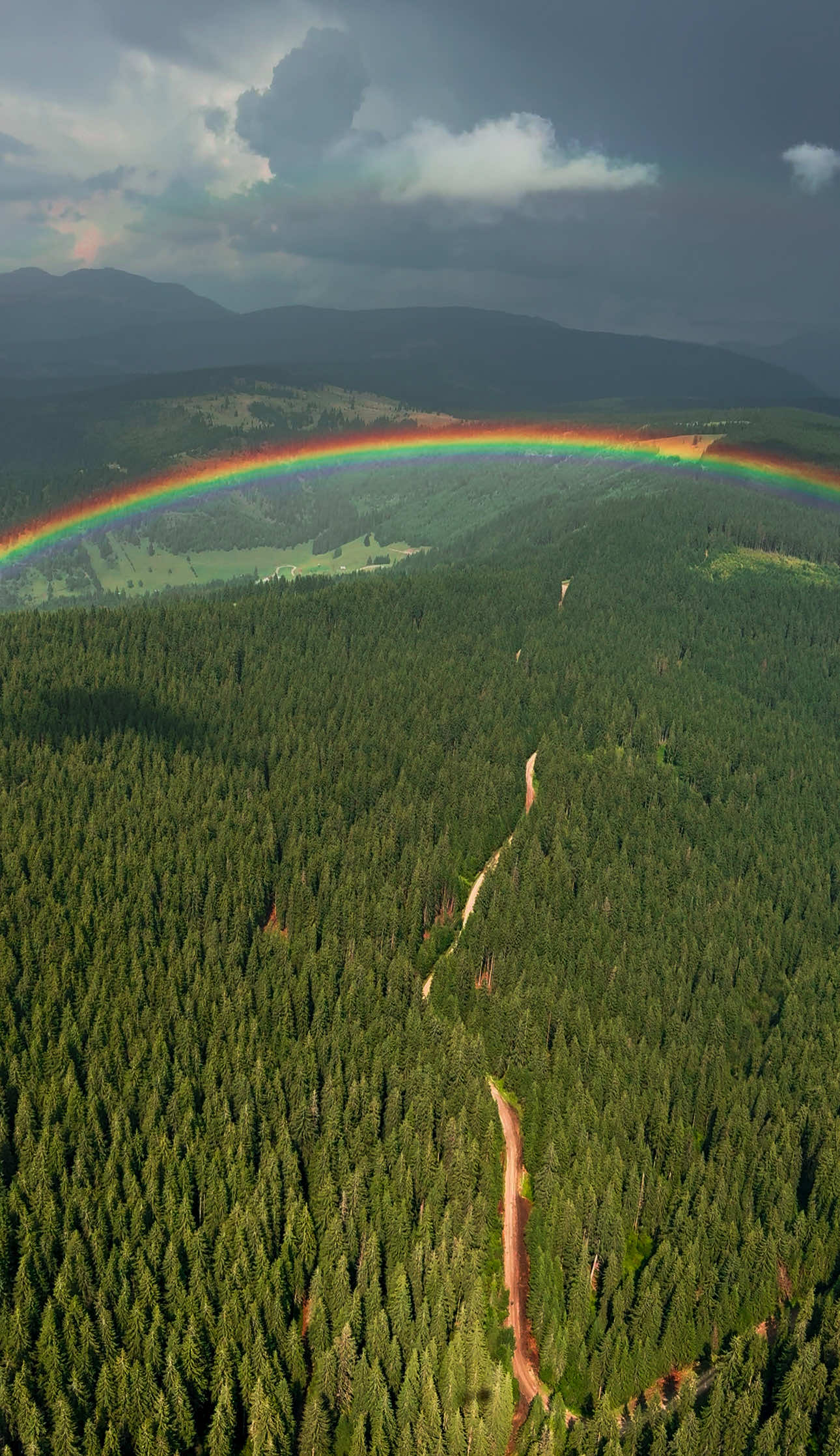 Bucovina - in zbor din elicopter 🚁  . . #pilotmihai #fvp #fy #viral #5pasidebine #5pasidebine💫🖤🥺foryu😐❤ #mihaipilot #pilotslife #foryouu #foryoupage❤️❤️ #foru #foryou #foryoupagee #foruu #helipilot #fvpシ #helitransylvania #helitransylvania #elicopter #elicoptere #romania #romaniadinelicopter #romaniaelicopter #airbush130 #airbush130t2 #romania🇹🇩 #bucovina #bucovinameafrumoasă #bucovina🌲 #bucovinazbor #bucovinaelicopter #bucovinateiubesc 