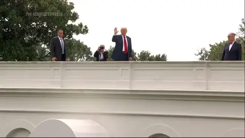 #CapCut #DrDolittle #jump #tiger #trump