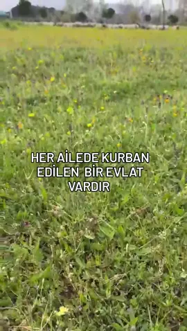✨✨Her Aİlede Kurban Edilen Bİr Evlat Vardır  Ne Yaparsa Yapsın Kimseye Yaranamayan Her Ne Dese Yanlış Anlaşılan Herkesin Sıırtını Yaşlandığı Ama Kimsenin Sen Nasılsın Demediği Bir Evlat  Sizler Ne Düşünüyorsunuz Bu Konuda? #ciceklerindunyasiii1  #aile #evlat #ailem #evlatlar #ailemiz #kesfeteyizz #kesfette #keşfetten #kesfeteyizzzzzzzz 