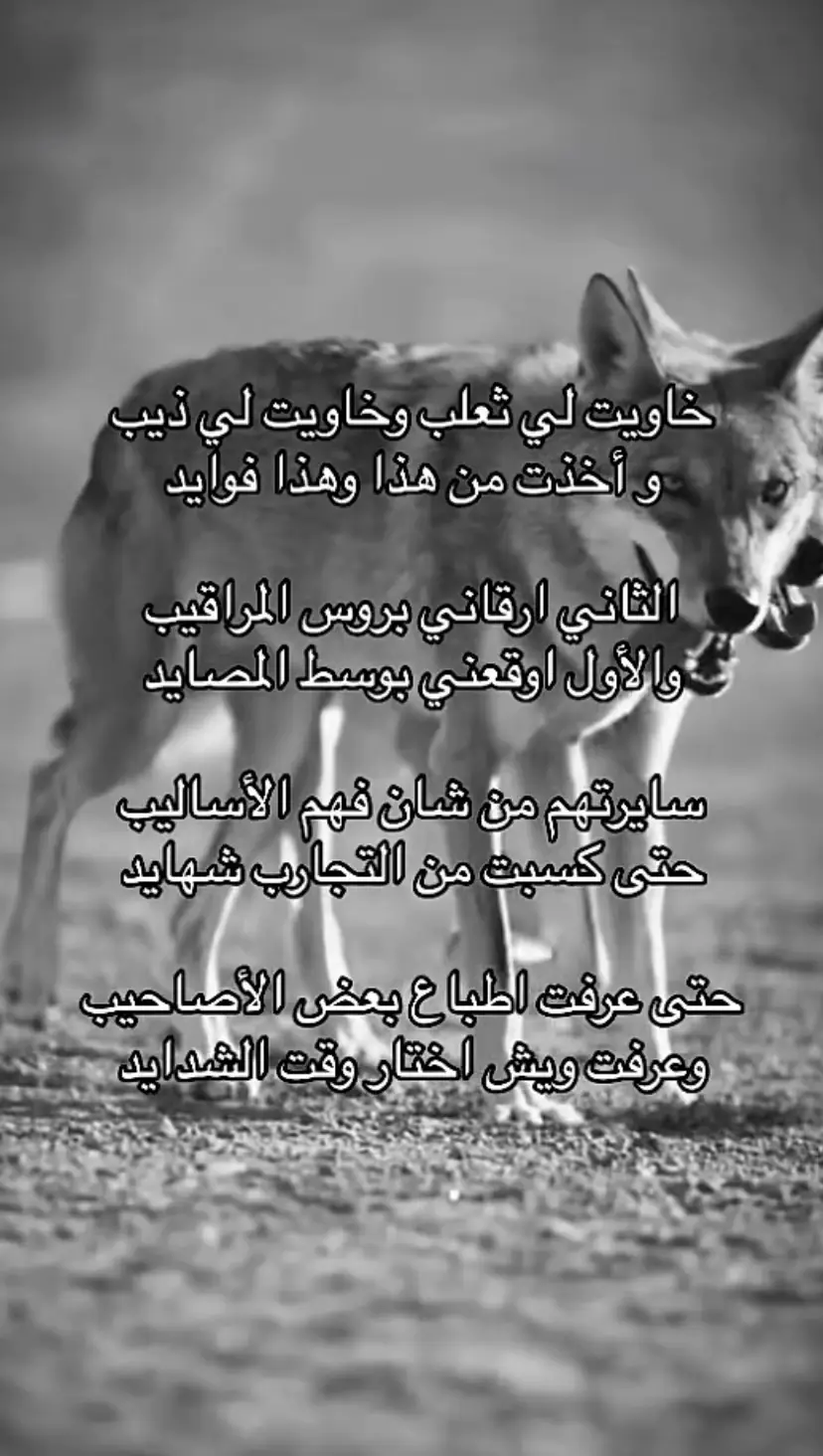 #ضريه__القصيم__السعوديه❤ #القصيم_بريده_عنيزه_الرس_البكيرية 