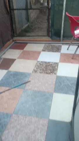 cuando no la dejan comer ,Enda aparte de enfadarse ,se sube a la parte de arriba de casa  #vidarural #catalunya #cat #jabali #enda #live 