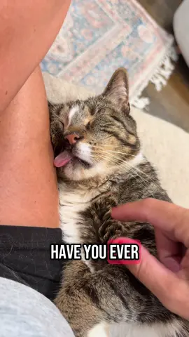 The cutest little sleeper 😋 #figarothesurviorkitten #figisbig #figgy #thedodo #catsofinstagram 