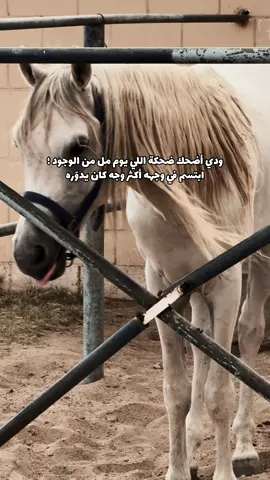 ضحكة عُمر🪞📮.