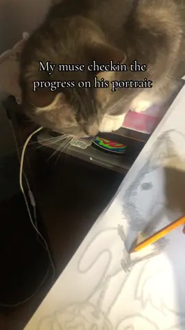 he likes to watch the graphite transfer #drawing #painting #cats #art #mymuse #kitten 