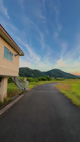 accidentally ran over a snake😭🙏          #japan #animevoice #8letters #fyp 