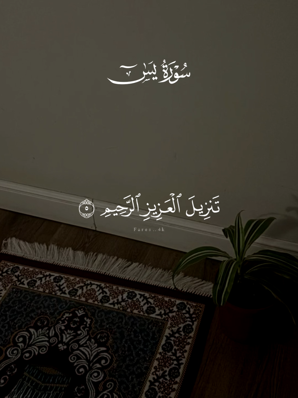 سورة يس كامله احمد العجمي  #قران #احمد_العجمي #quran #قران_كريم #سورة_يس 