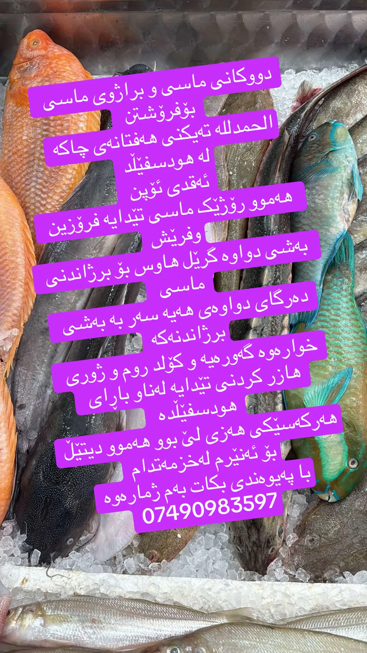 @hali.kar.kren.froshtn.uk @هەلی کار و کڕین و فڕۆشتنی بزنس @foryourpage @#foryou @#For you # for your page # Birmingham #london #notingham #cardiff #swansea #Scotland #glasgow #edinburgh #manchesterunited #derby #stokeontrent #blackburry #bristol #tow #foryoupage • #village #kurdish #kurdishuk #kurdishbarber #kurdishminimarket #carwashfails #kurdishjob 