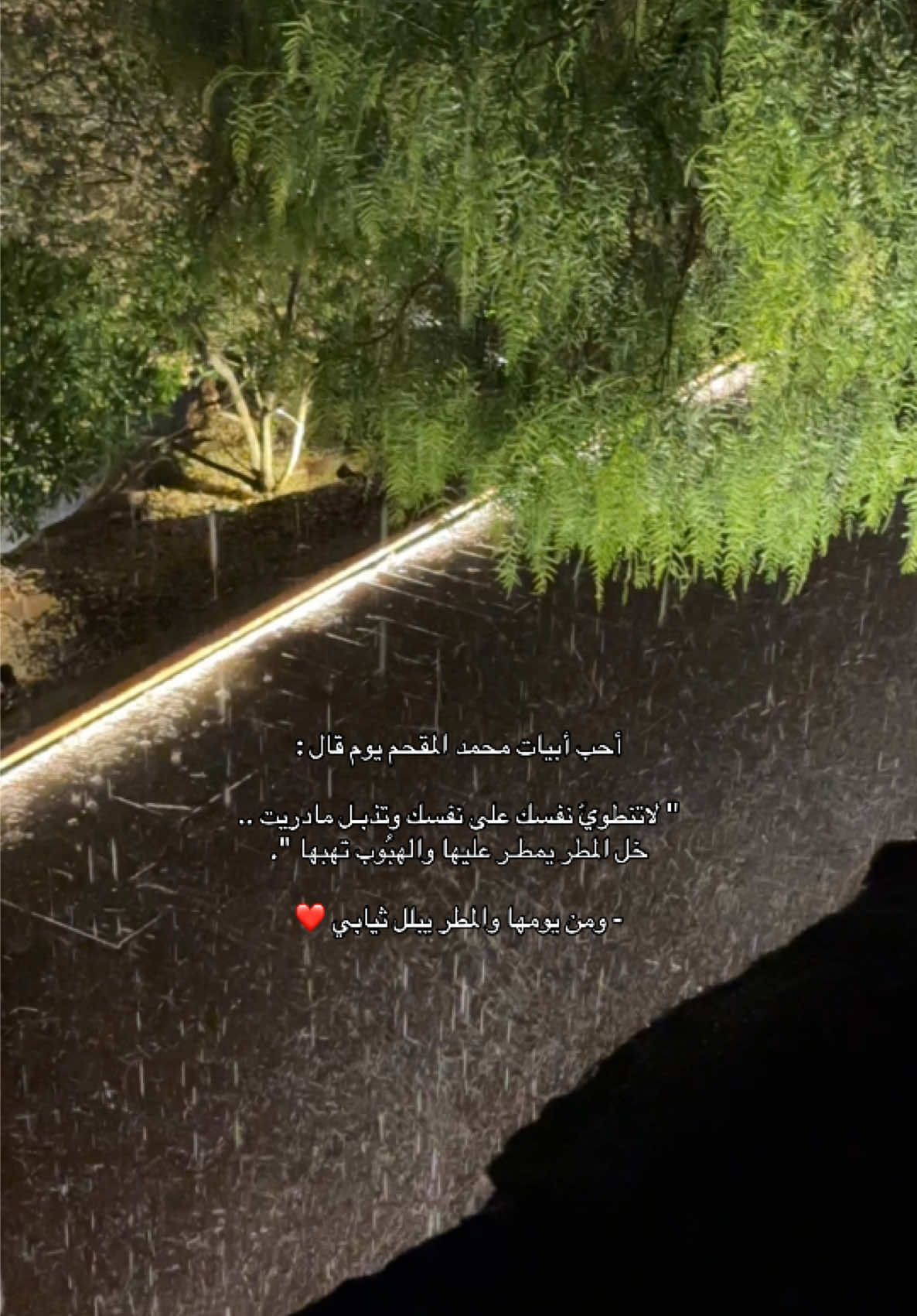 مطر الليل ❤️   #fyp #مطر_الليل #creatorsearchinsights 